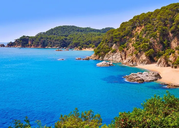 公寓 Jardins Sa Boadella By Interhome